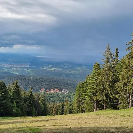 Hills - 33 Боровец