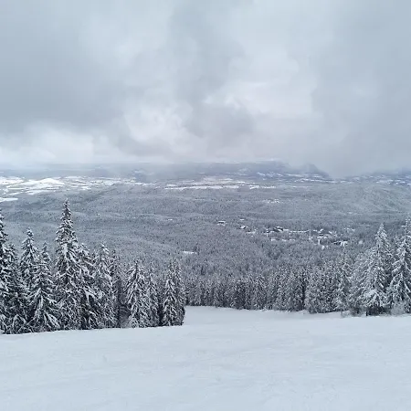 Hills - 33 アパート