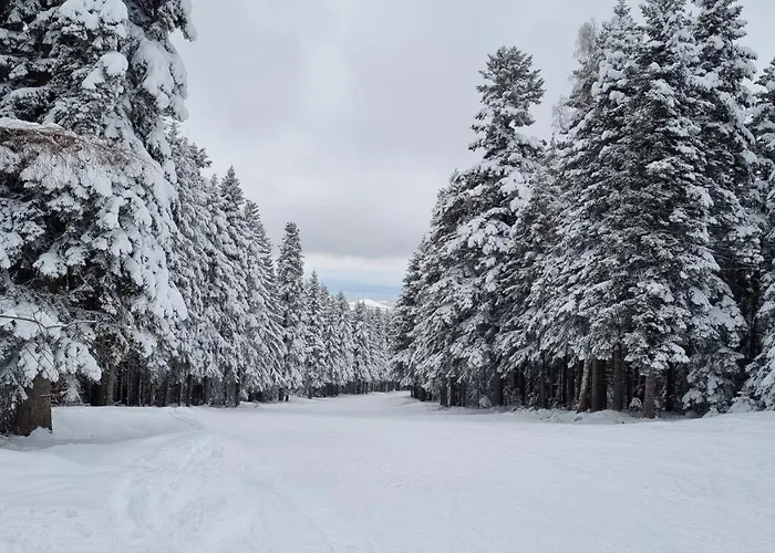 Апартаменты Hills - 33 *