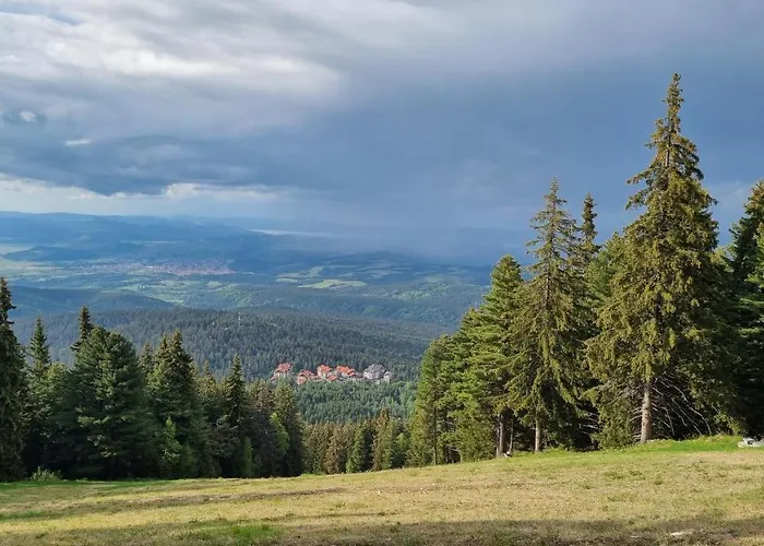 Hills - 33 Боровец