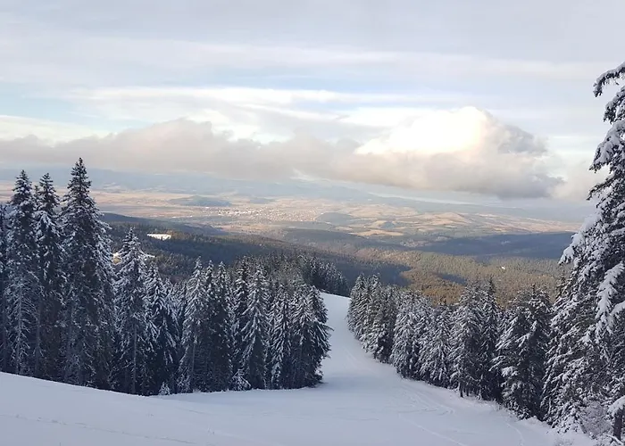 Апартаменты Hills - 33 *