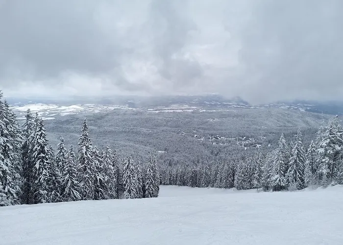 Hills - 33 Апартаменты