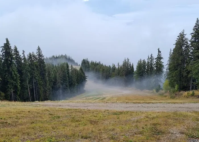 Апартаменты Hills - 33 Боровец